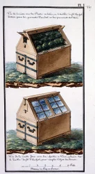1. Uitzicht op de doos met verpakte planten, en archal draadgaas bovenop: om ze te beschermen tegen ongevallen door lucht te voorzien. Uitzicht op het lichaam hetzelfde met zijn glazen frames, geplaatst op het archal draadgaas: om het doel van de serres te