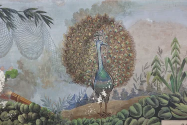 Een pauw, detail van 3743687