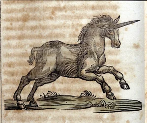 Eenhoorn, mythisch dier - Gravure uit een werk van Athanasius Kircher