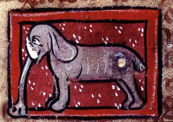 Een olifant - bestiarium van de 14e eeuw. Milaan, Biblioteca Trivulziana