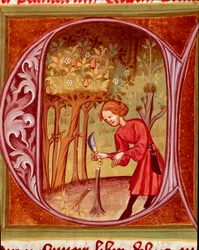 Plantkunde: een tuinman die een plant verpot. Miniatuur uit "De Rustican of het boek over het nut van land en landbouw" (Rerum ruralium commodorum) door Pietro de Crescenzi (Crescent Stone of Crescens Stone) (1233-1320), 14e eeuw. Praag, Nationale