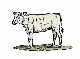 Kalveren klemmen.