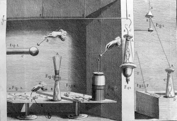 Illustratie van experimenten door Luigi Galvani, Italiaanse natuurkundige en arts (1737 - 1798) die de doorgang van elektrische stroom uitlegt die de benen van een kikker beweegt.