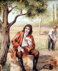 Isaac Newton (1642-1727), Engelse wiskundige, natuurkundige en astronoom, ontdekt de zwaartekrachttheorie door het vallen van een appel te observeren, een illustratie van de 19e eeuw.