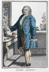 Portret van Carl Linnaeus (Carl von Linné)