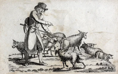 Herder met zijn kudde schapen. Gravure eind 18e eeuw. Privécollectie.