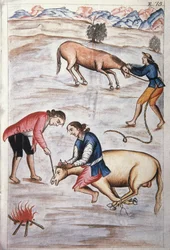 Het rode ijzermerk van een merrie, uit het boek "Trujillo del Peru" of "Códice Martínez Compañón", door Baltazar Martinez Compañón y Bujanda, bisschop van Trujillo (1782-1785)