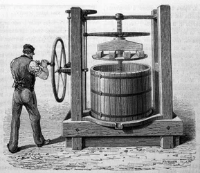 Gebruik van de pers om druivenmost te verkrijgen in Medoc en Cognac. Gravure uit het einde van de 19e eeuw