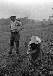 Couple de peasants working la terre, Somme 1921 Fotografie (Franse boeren aan het werk op het land, Somme 1921) Privécollectie