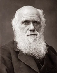 De Engelse natuuronderzoeker Charles Robert Darwin (1809-1882)
