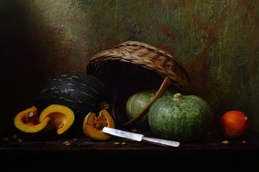 Herfstoogst van pompoenen