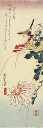 (Chrysanten en een Klauwier), 1830-1858