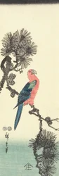 (Papegaai op dennenboom), 1847-1852