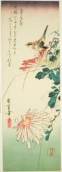 Vogel en chrysanten