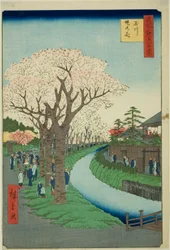 Bloesems op de Tama Rivieroever (Tamagawa-zutsumi no hana), uit de serie "Honderd Beroemde Zichten van Edo (Meisho Edo hyakkei)"