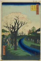 Bloesems op de oever van de Tama-rivier (Tamagawa-zutsumi no hana), uit de serie "Honderd beroemde vergezichten van Edo (Meisho Edo hyakkei)".