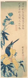 Blauwe vogel