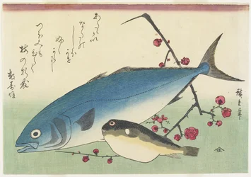 Bonito, Kogelvis en een Takje Bloeiende Pruim, ca. 1840