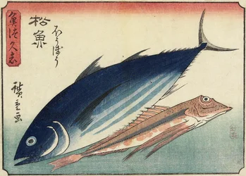 Bonito en Gurnard, 1830-1844