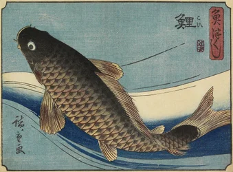 Karper, 1830-1844