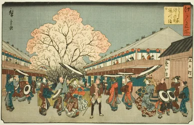 Kersenbloesemdag op de Nakanocho van de Yoshiwara (Yoshiwara Nakanocho Sakura no monbi), uit de serie "Beroemde plaatsen in Edo (Edo meisho)"