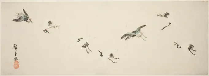 Kraanvogels in Vlucht