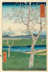 Fuji vanuit Koshigaya, Musashi, nr. 14 uit de serie „36 gezichten op de berg Fuji“, „Fuji Saryu Rokkei“