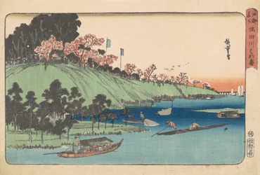 Volle Bloei Langs de Sumida Rivier