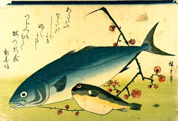 Hiroshige Een school vissen Fugu Yellowtail