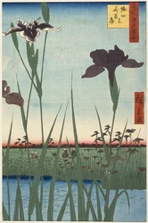 Horikiri Iris Tuin (Horikiri no hanashōbu), uit de serie Honderd beroemde uitzichten van Edo (Meisho Edo hyakkei)