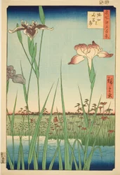 Iris bij Horikiri (Horikiri no hanashobu), uit de serie "Honderd Beroemde Zichten van Edo (Meisho Edo hyakkei)"