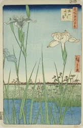 Iris bij Horikiri (Horikiri no hanashobu), uit de serie "Honderd beroemde uitzichten van Edo (Meisho Edo hyakkei)"