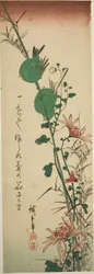 Japanse witogen en chrysanten