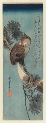 Uil op een dennen tak, ca.1833