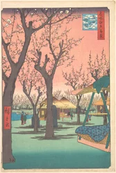 Pruimentuin bij Kamata