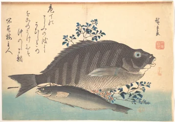 Shimadai- en ainamevissen, uit de serie Uozukushi (Elke vissoort)