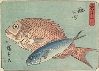 Snapper en horsmakreel