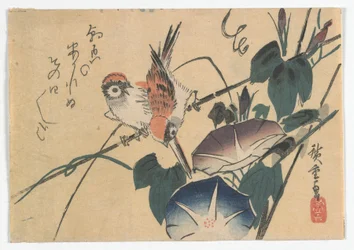 Mussen en ochtendglorieën, Edo-periode, late jaren 1830