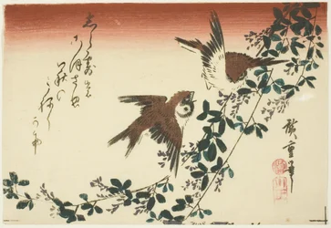 Mussen en bush clover
