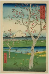 De Buitenwijken van Koshigaya in de Provincie Musashi, uit de serie "Zesendertig Zichten op de Berg Fuji"