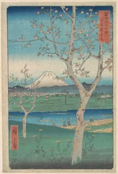 Gezicht op de Fuji vanaf Koshigaya in de provincie Musashi (Musashi, Koshigaya Zai), uit de serie Zesendertig gezichten op de Fuji (Fugaku sanjūrokkei)