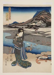 Uitzicht op Odawara