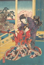 Bloem van Akashi