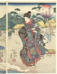 De Chofu Tama rivier in de provincie Musashi