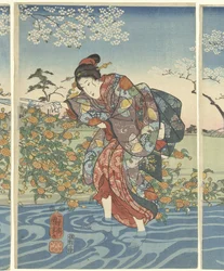 De Ide Tama rivier in de provincie Yamashiro