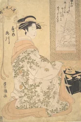 Takigawa van het Ogiya Pleasure House