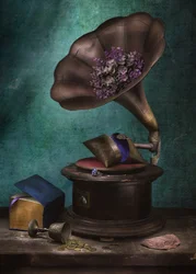Moody Vintage-grammofoon