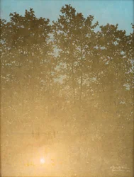 Zonsondergang. Fontainebleau