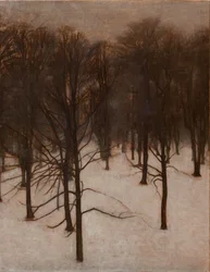 Sondermarken Park in de winter
