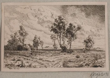 Landschap in onrustig weer